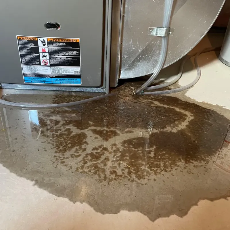 Appliance Leak Cleanup in Fairview Park, OH