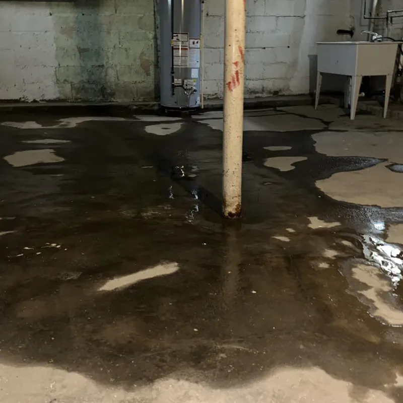 Emergency Water Extraction And Removal in Fairview Park, OH